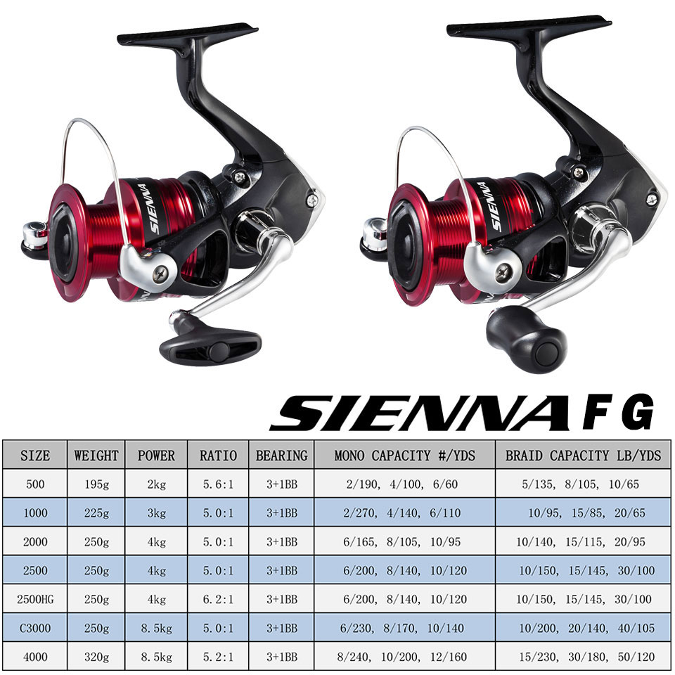 Carrete de pesca giratorio SHI - Daiwa Reel Bg reseña y precio